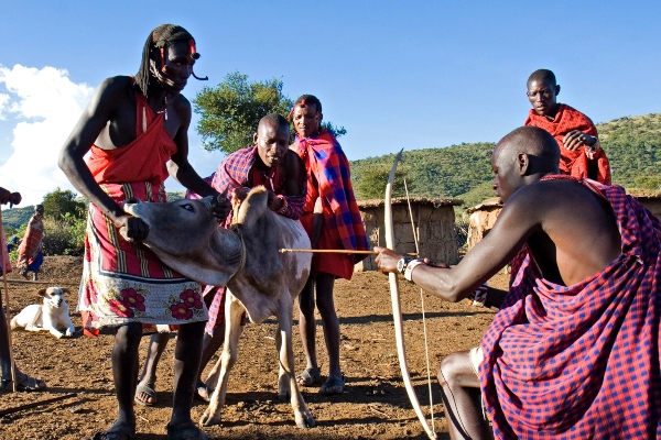 The Maasai: Guardians of a Vibrant Language