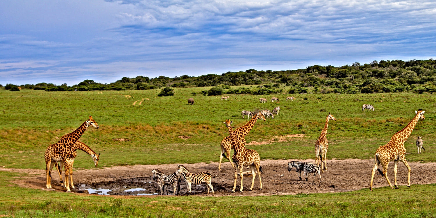  2 days masai mara flying safari