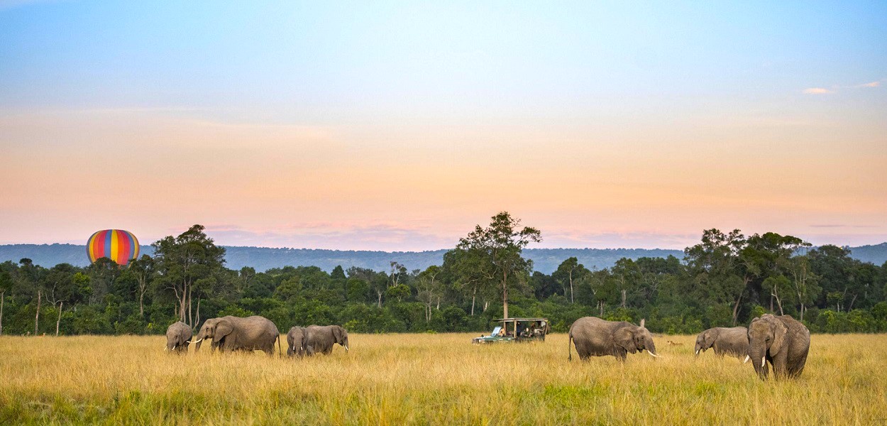 luxury masai mara safari