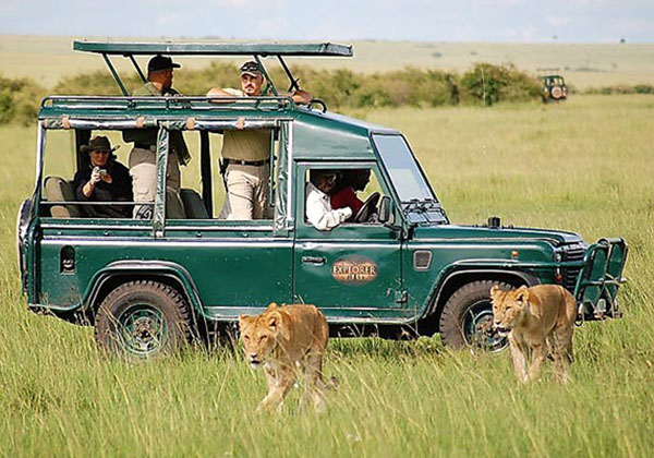 fly in safari masai mara