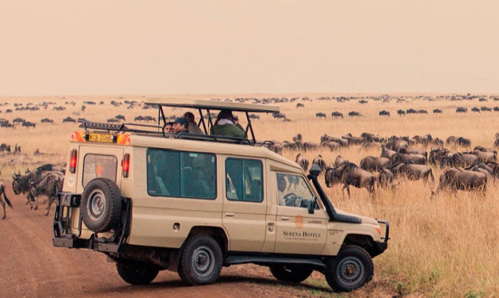 What are Safari Game Drives in Masai Mara, Kenya | Meaning of Gamedrives, Vehicles types & Costs