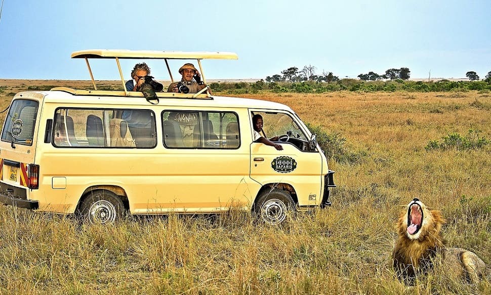 safari bus car