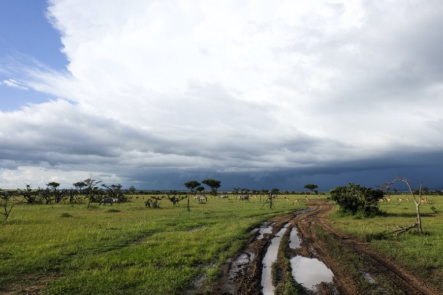 masai mara luxury tour