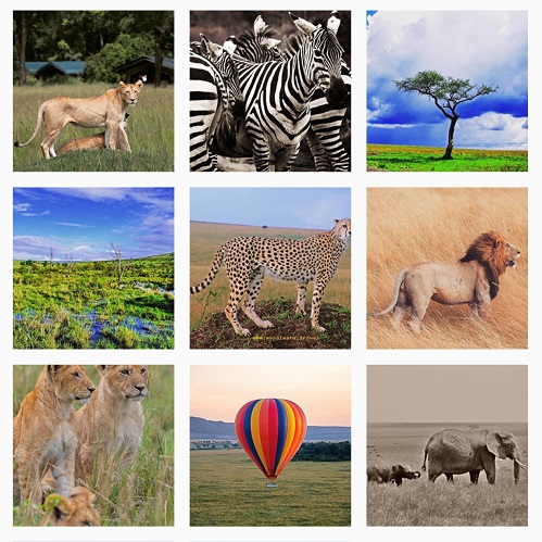 safari national park kenya