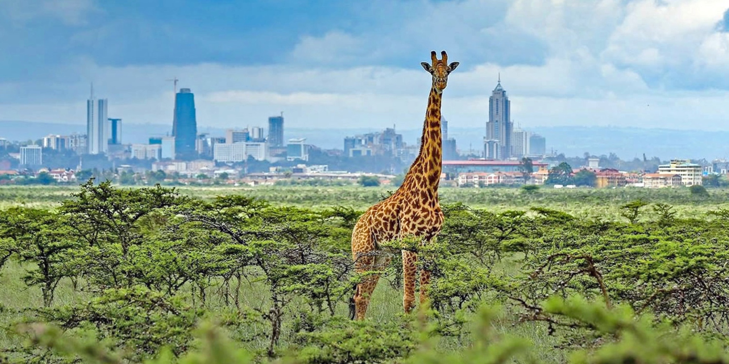 Nairobi National Park in Kenya