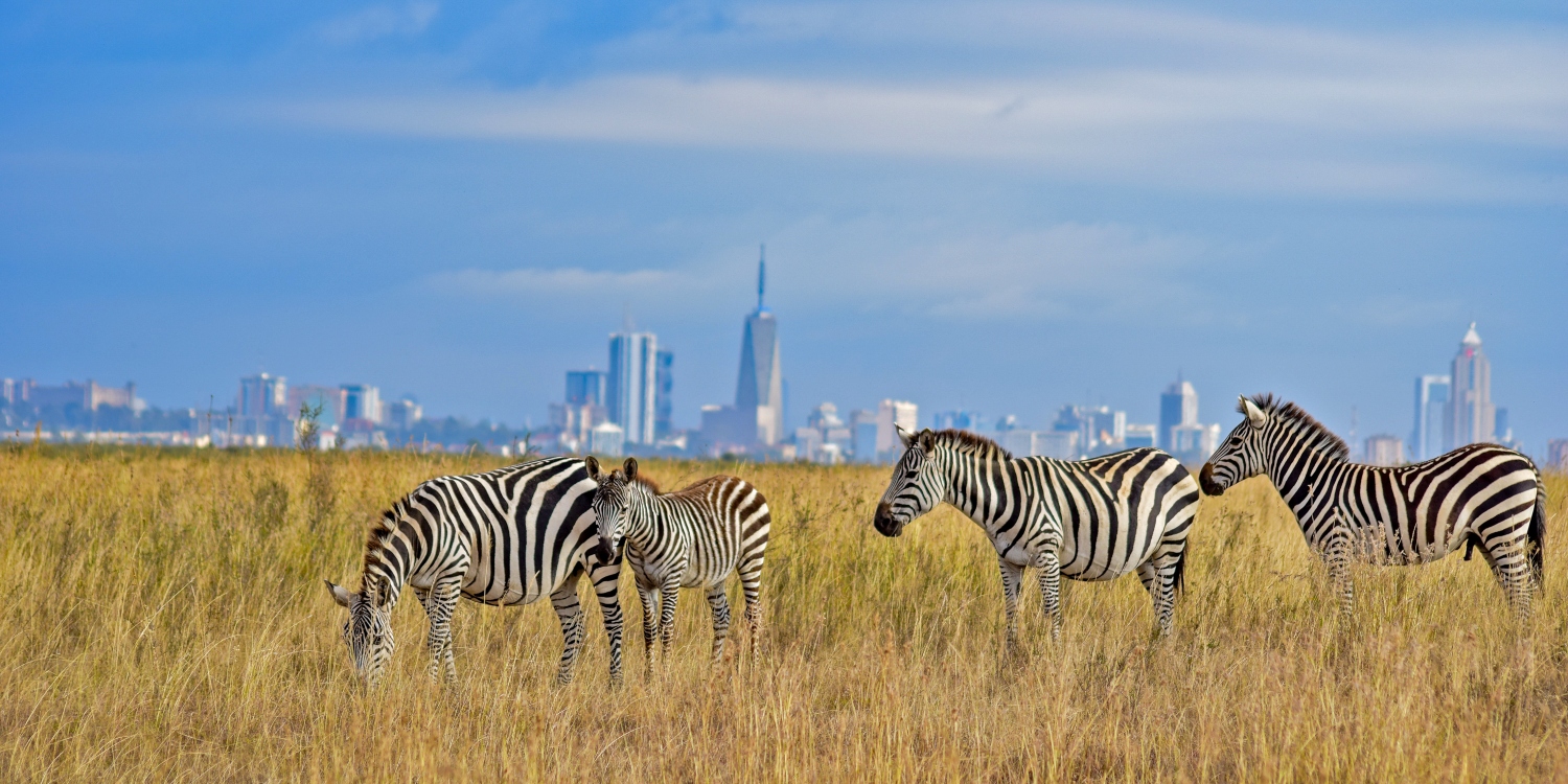 Nairobi National Park Visit, Kenya