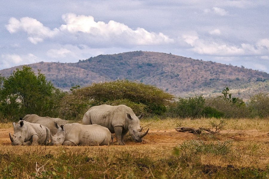 safari masai mara 3 days