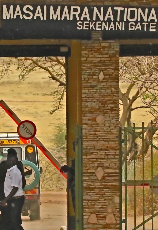 sekenani gate in masai mara