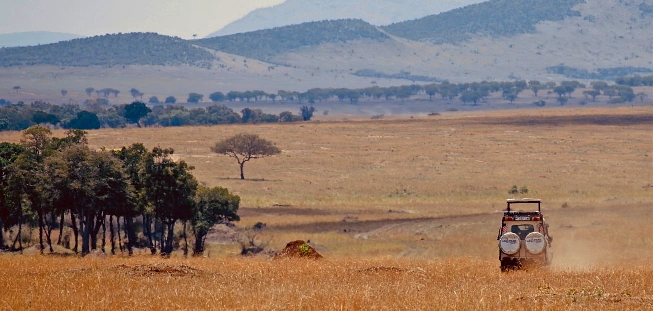 Serengeti or Masai Mara: Which is better to visit ? | Comparison of  Serengeti in Tanzania Vs Maasai Mara in Kenya