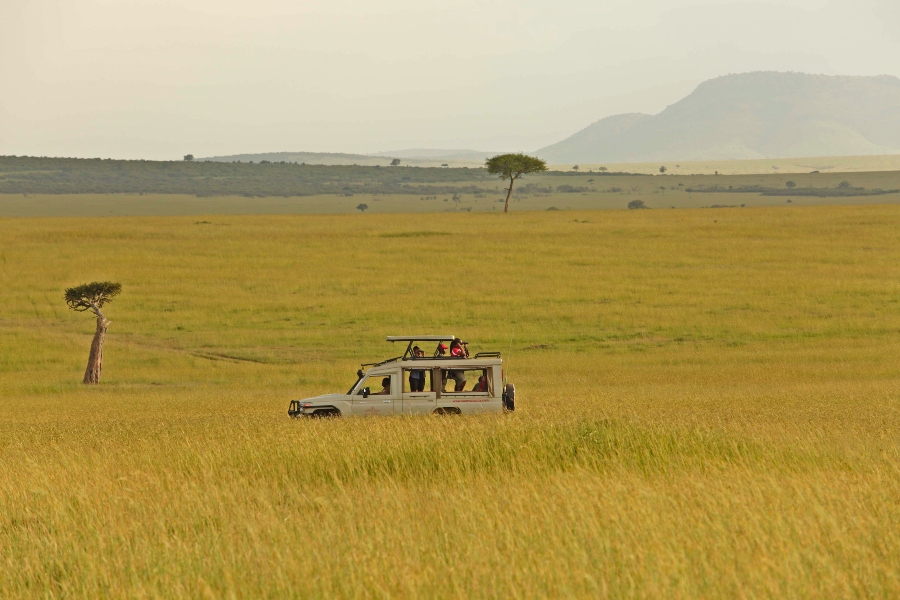 nairobi serengeti safari