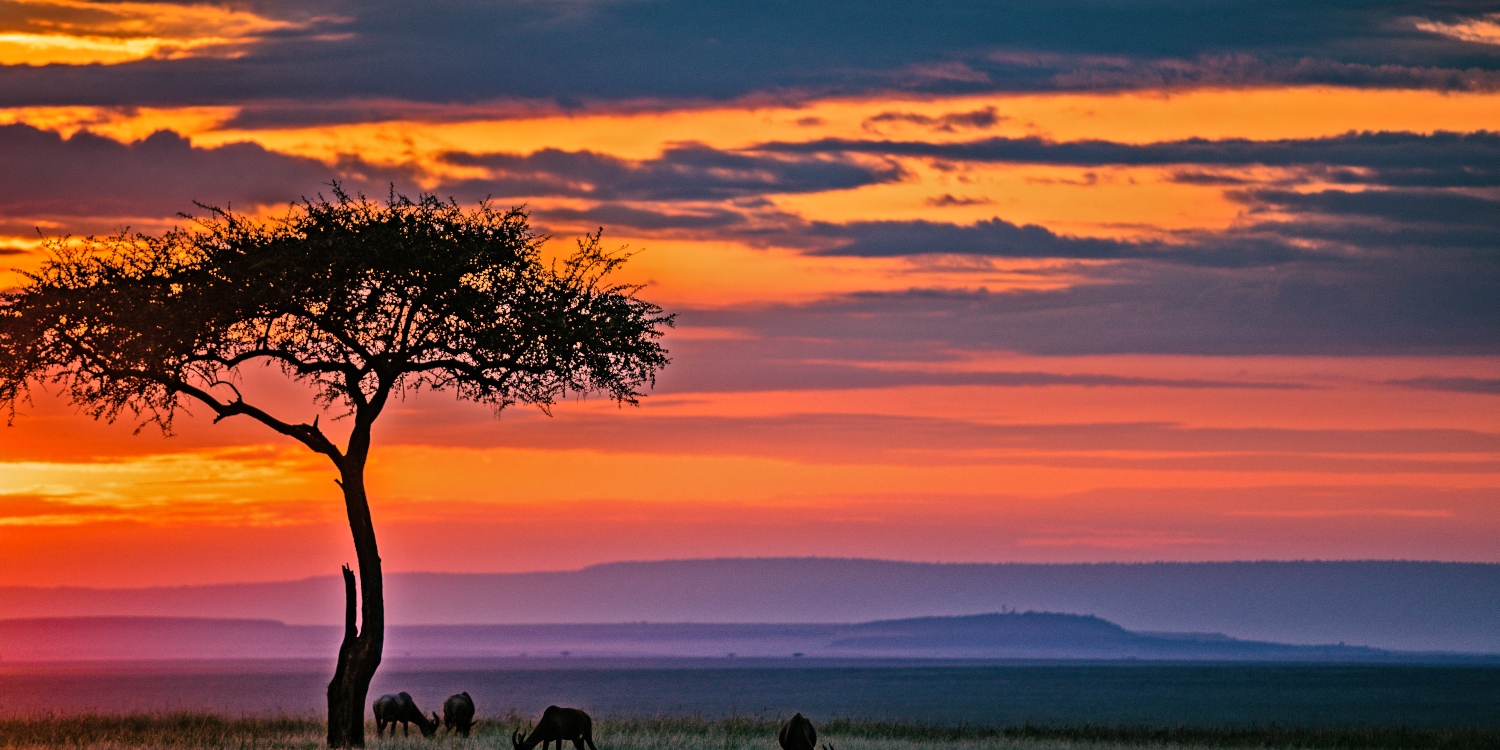 important reasons for visiting masai mara